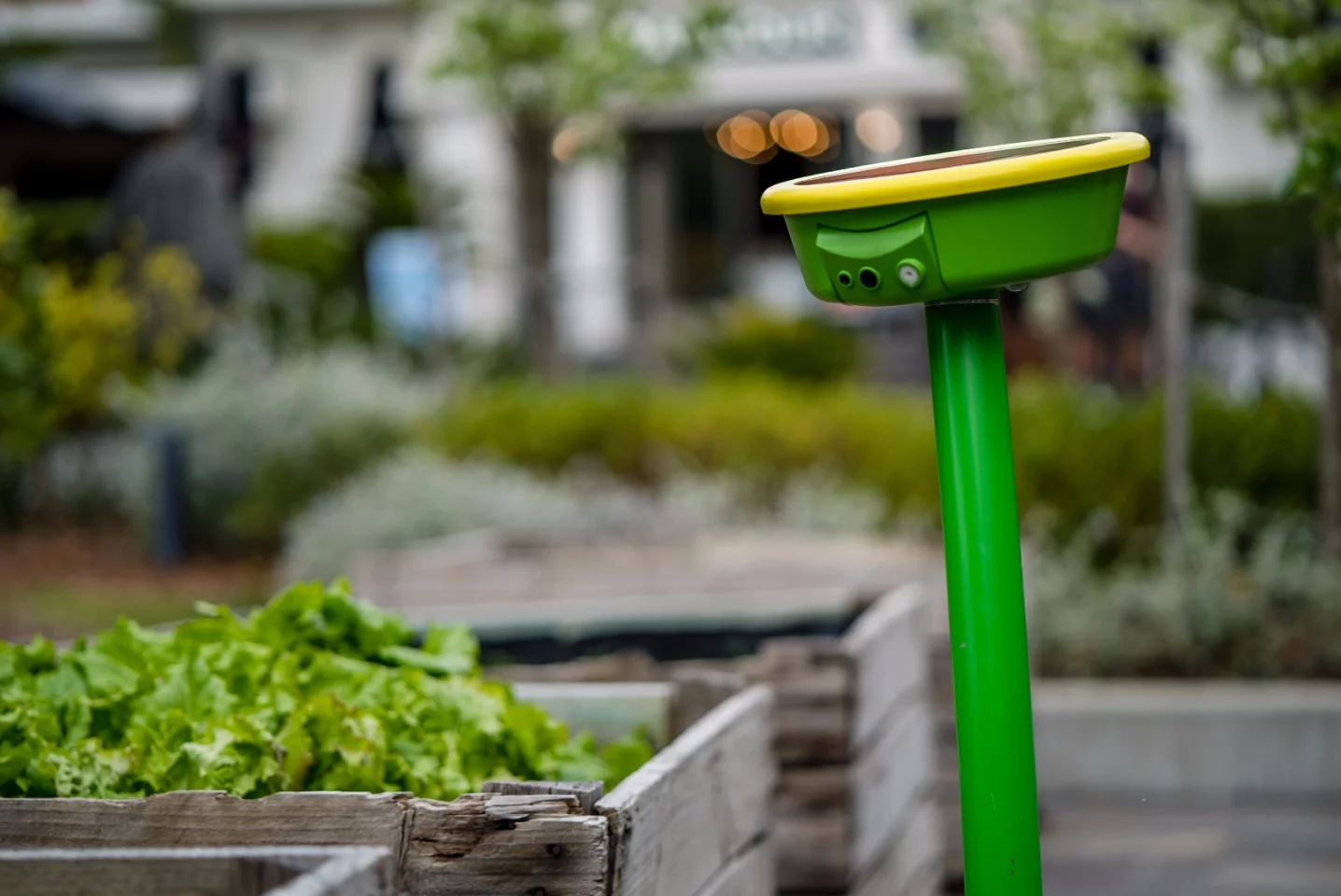 GardenSpace gets hooked up to your backyard water supply, and connects with your household Wi-Fi