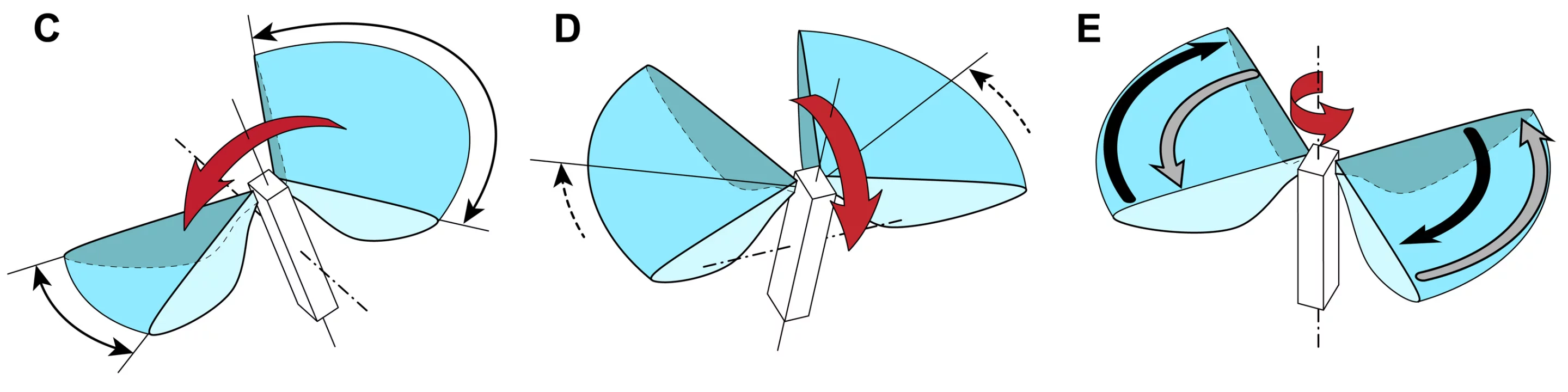 The RoboBee's wings are independently actuated allowing for a variety of control operations (Photo: Kevin Ma and Pakpong Chirarattananon)