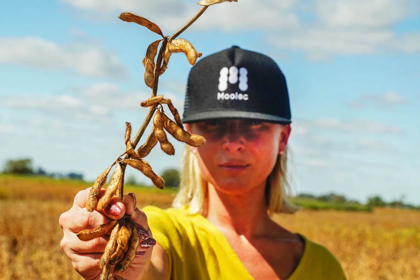 Moolec presently runs molecular farming operations in the US, Europe and South America
