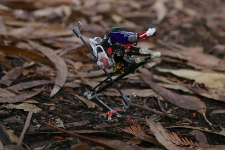 The SALTO robot can jump up to 1 meter