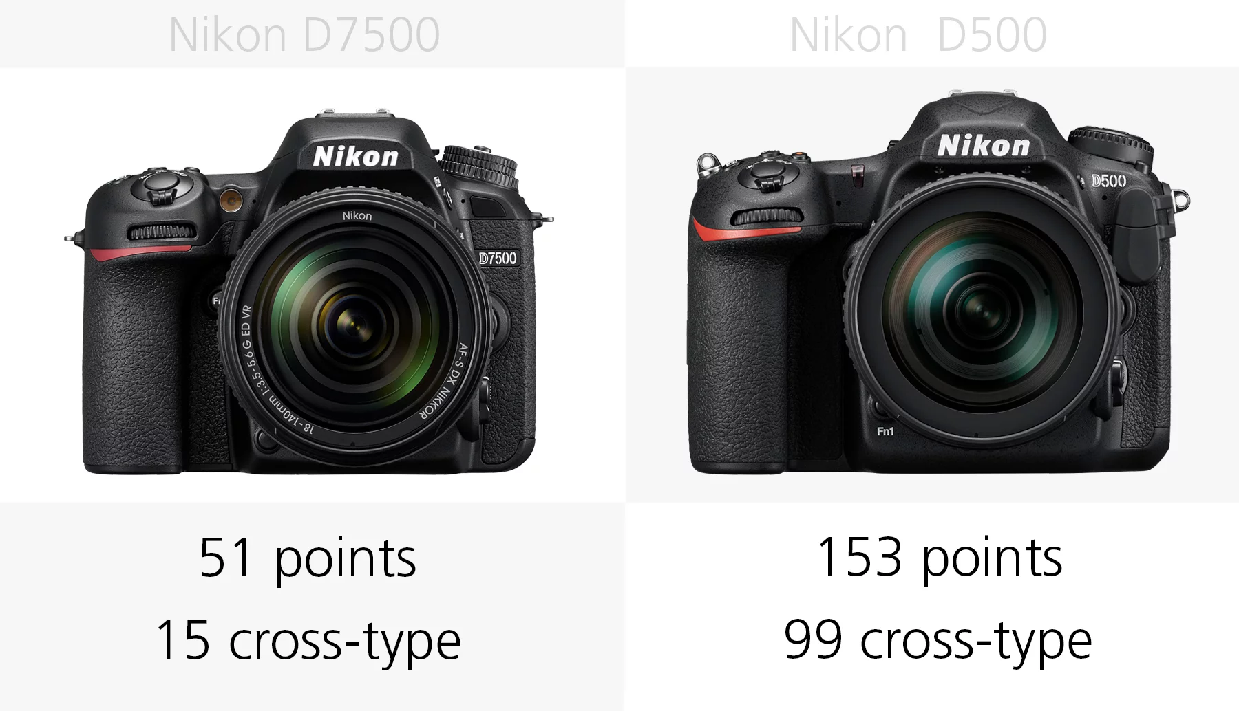 The autofocus systems of the Nikon D7500 and Nikon D500 compared