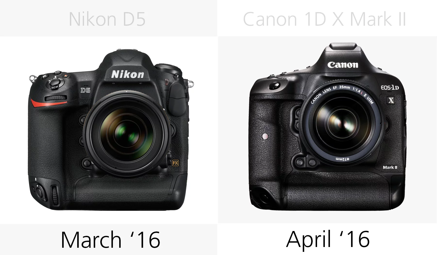 Release date comparison of the Nikon D5 and Canon 1D X Mark II