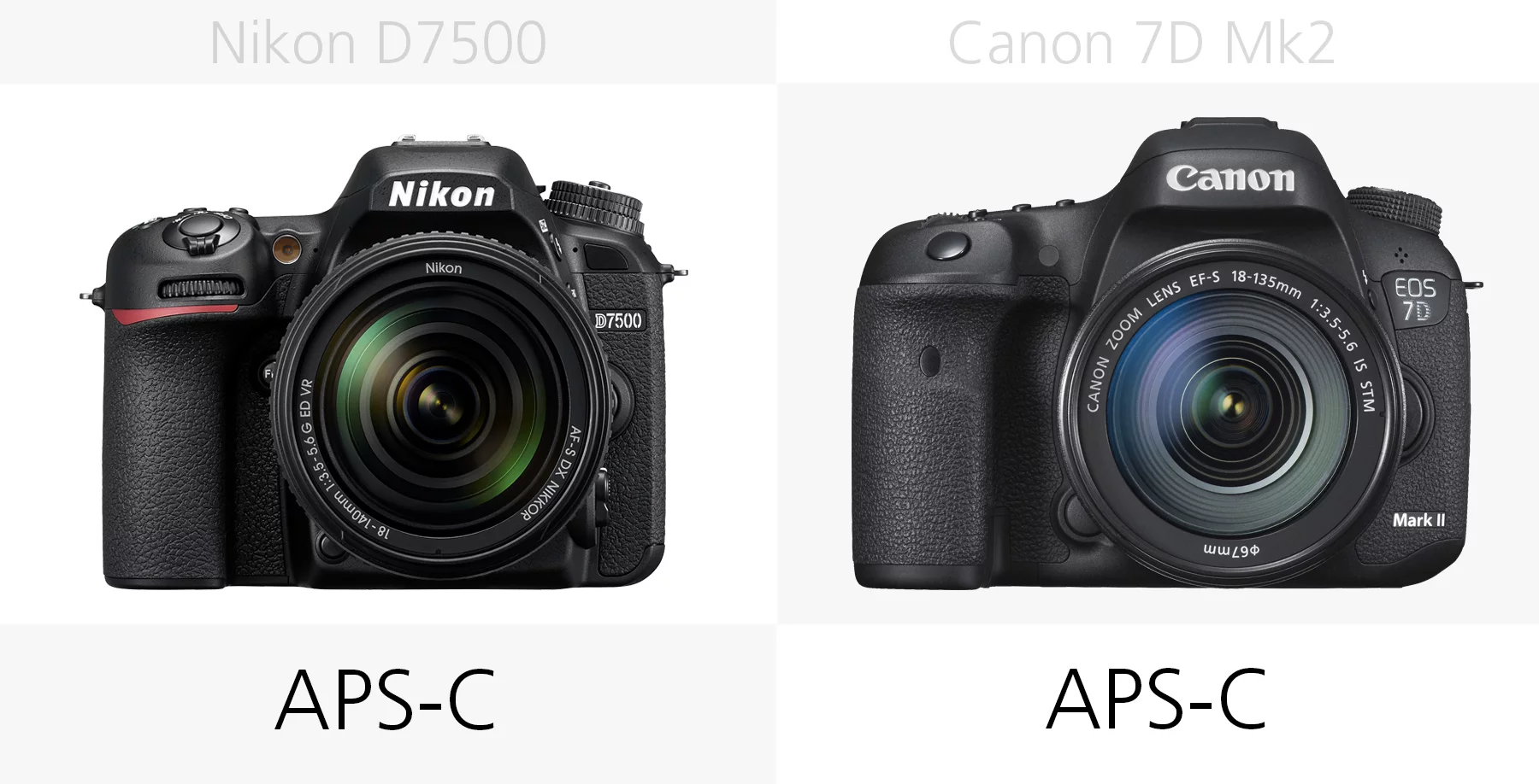 The sensor size of the Nikon D7500 and Canon 7D Mark II compared