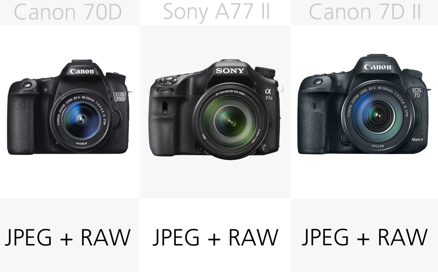 All of these DSLRs can shoot both JPEG and the more post-processing friendly RAW still files