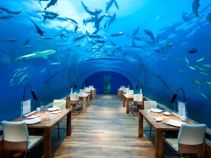 To get to Conrad Maldives you need to take a 30-minute seaplane flight from the nearest main airport. Oh, and did we mention the resort has an underwater restaurant?