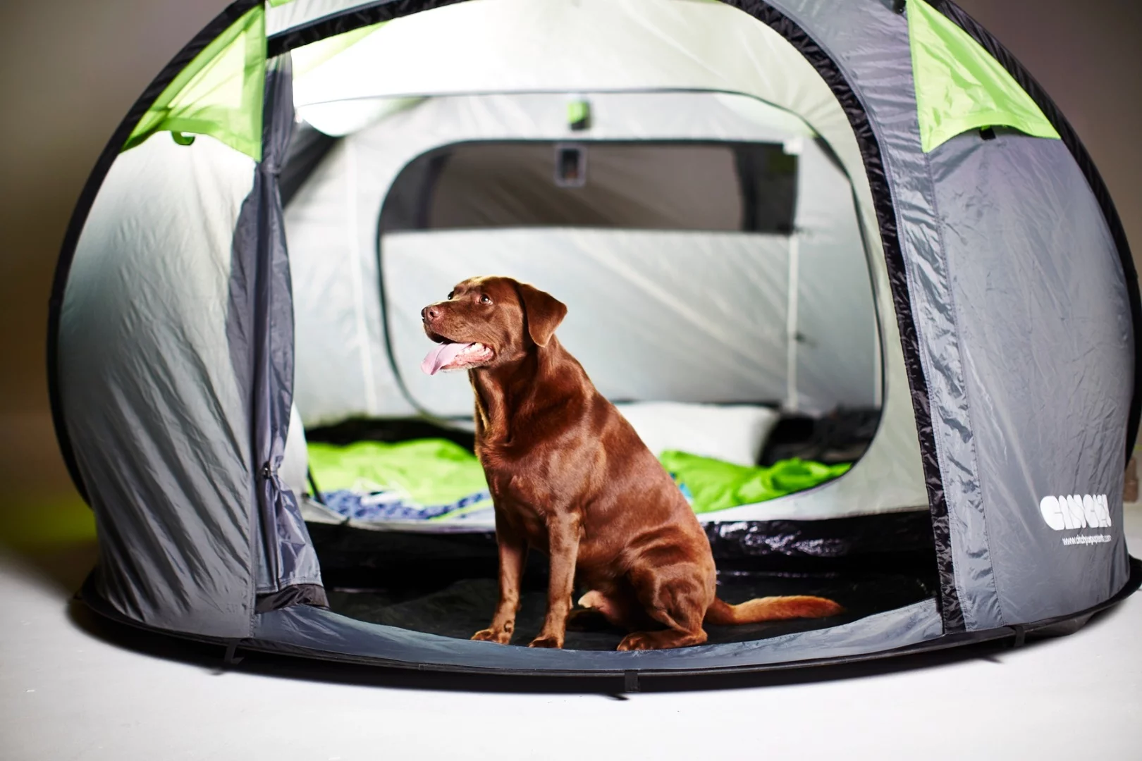 Each size is said to be the biggest in its class, with the four-man version claimed to be the biggest pop-up tent available