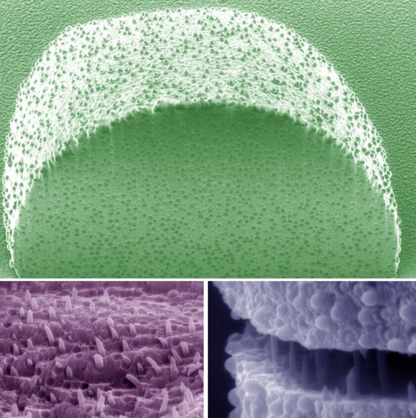 Artificially-colored images of calcite crystals with polymer inclusions, within the newly-developed polymer