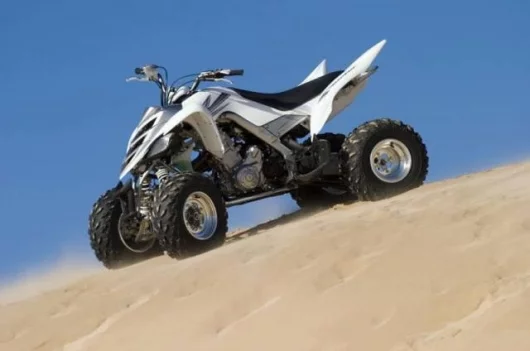 It performed so well, he bought it.