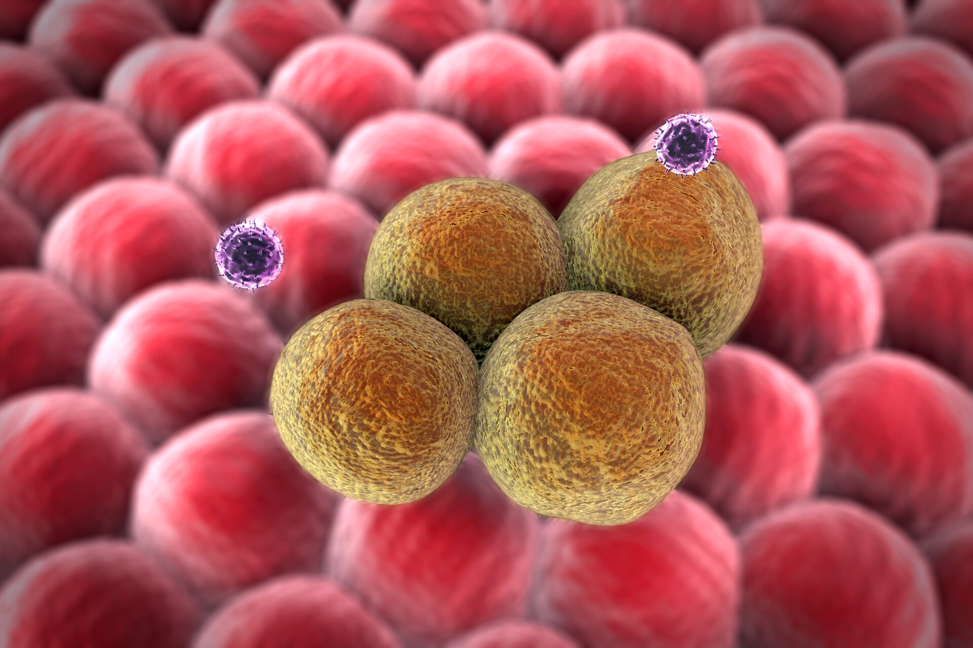 "Nanofactories" produce anticancer drugs from inside tumors