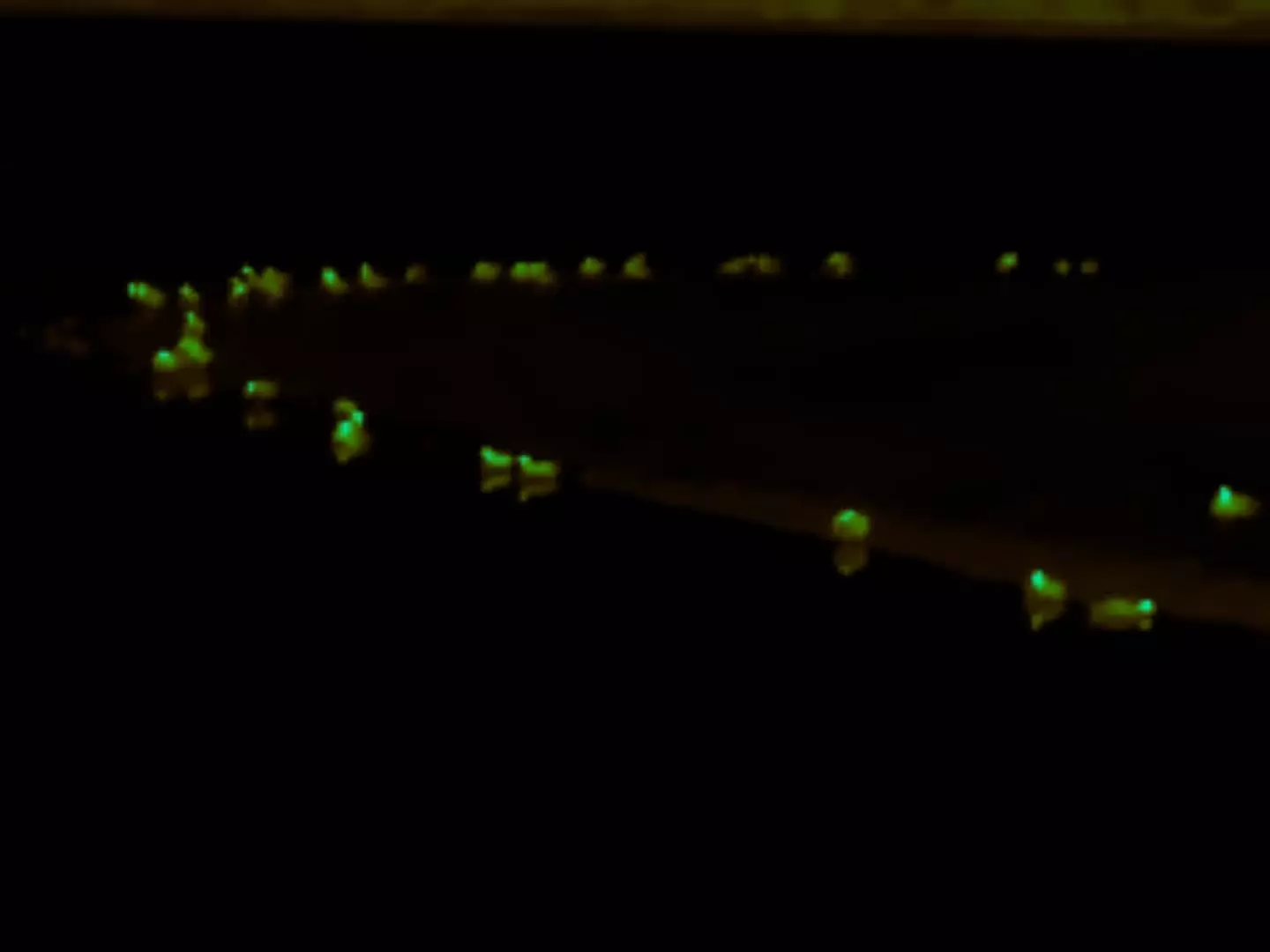 Green setting brings out more detail