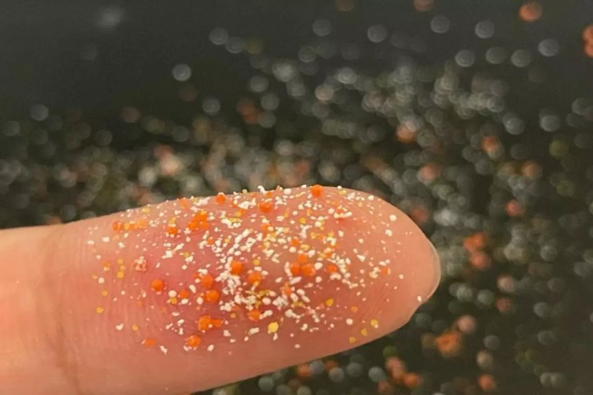 A new study shows how microplastics in wastewater could act as "hubs" for antibiotic-resistant bacteria