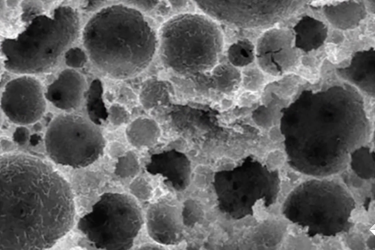 A microscope image of the PDMS-lined pores within the superhydrophobic concrete