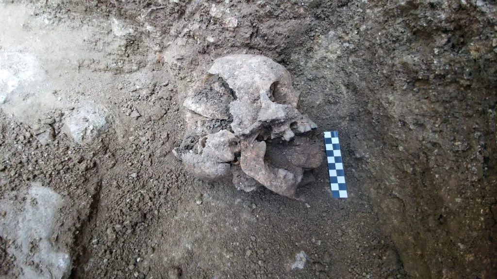 The researchers say that the stone was deliberately placed in the child's mouth between death and burial, a practice long thought to prevent zombies or vampires from rising and spreading disease