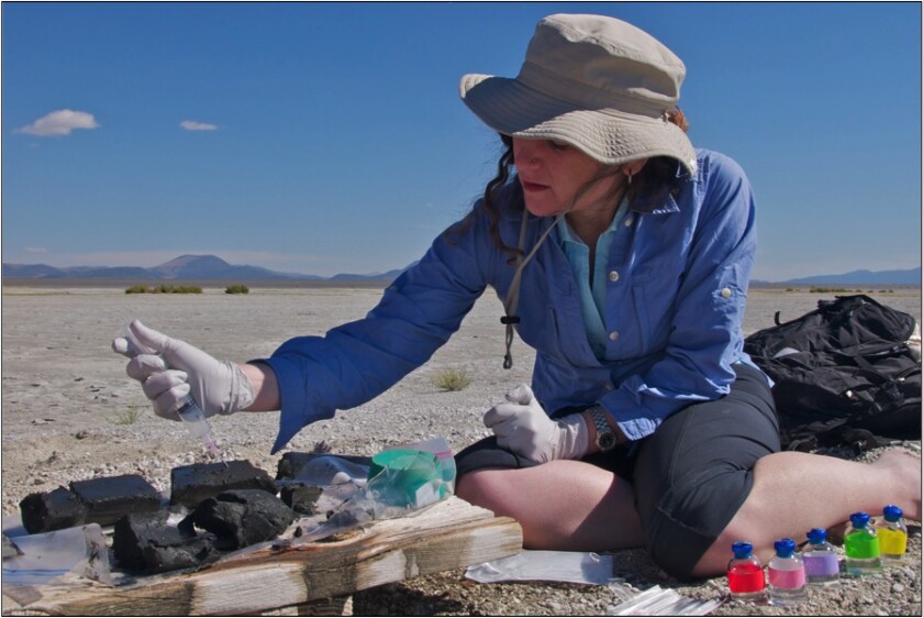 Felisa Wolfe-Simon, conducting research at Mono Lake