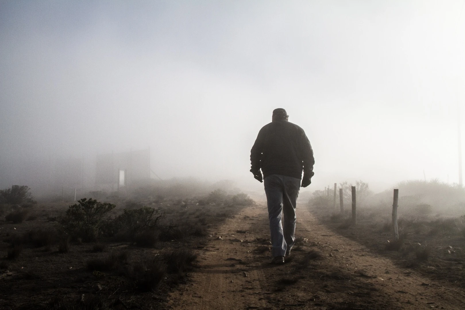 The Camanchaca presents a unique opportunity for those suffering drought in Chile's north