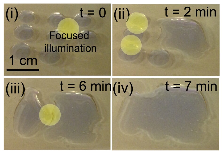 Separating oil and water using light