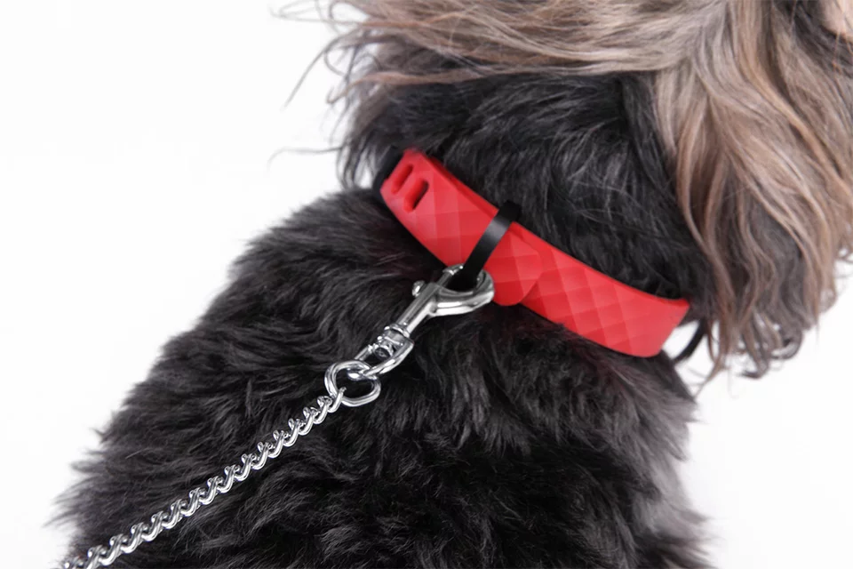 Alongside all the advanced features, the Kyon collar still works as a way of attaching a leash to your dog