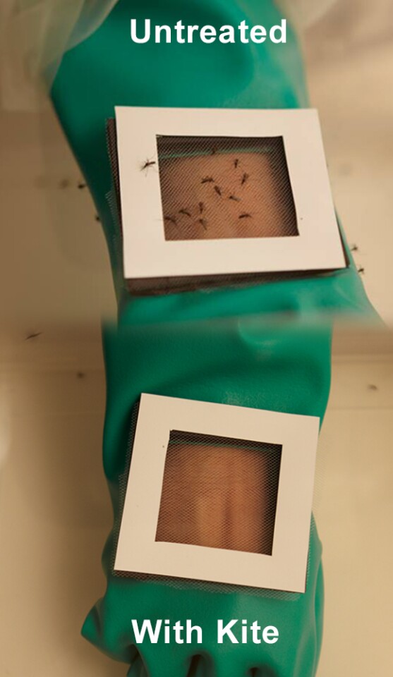 The Kite patch's active ingredients being tested in a lab