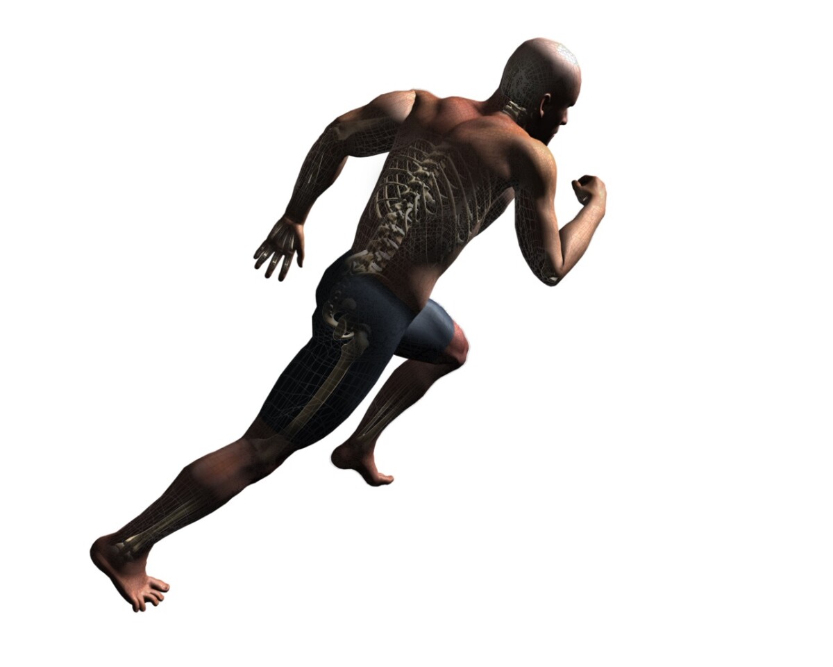 Santos, the biomechanically-correct avatar