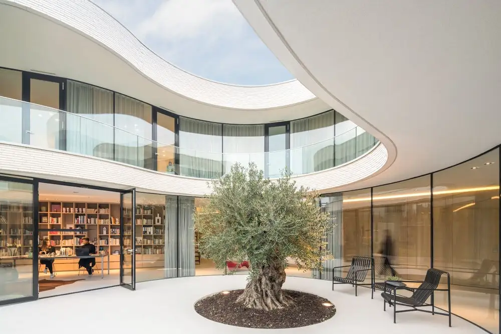 Casa Kwantes' expansive glazed facade curves around an olive tree