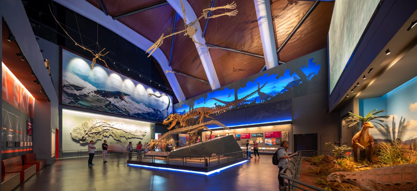 The National Maritime Museum of China includes six display areas and 15 exhibition halls