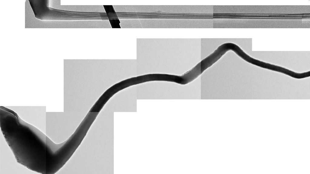 Formerly unobserved increase in length and twist of the anode in a nanobattery (Image: DOE Center for Integrated Nanotechnologies)