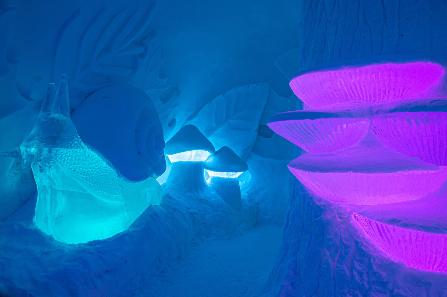 The Mush Room was designed by Chris Pancoe and Peter Hargraves. Its colorful fungi-like forms depict a story of eating a strange mushroom and shrinking to the size of an insect