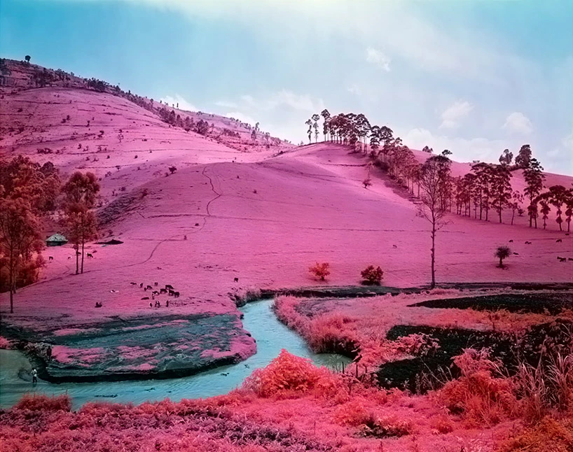 Richard Mosse's amazing series "Infra" depicts rebels in an African civil war using a discontinued military grade infrared film stock that adds surreal pink hues to a landscape devastated by violent conflict