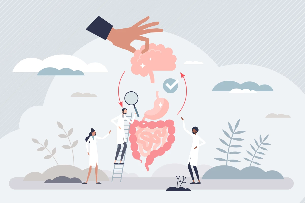 Researchers have uncovered the first evidence of direct real-time communication between microbes in the gut and our brain