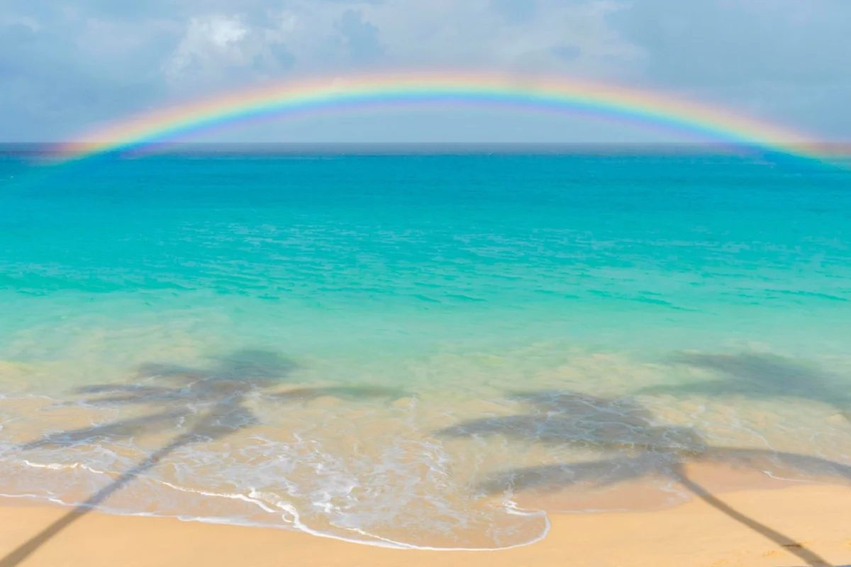 Landscape – Barbados. "There's always a rainbow after the rain"
