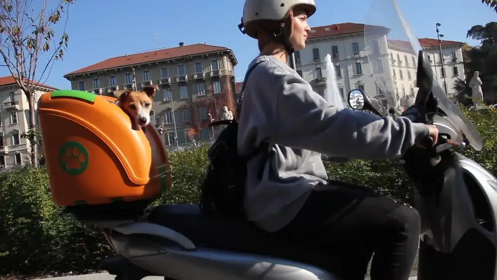 The Pet on Wheels is a safe, comfortable carry case for transporting pets on bicycles, scooters and motorbikes