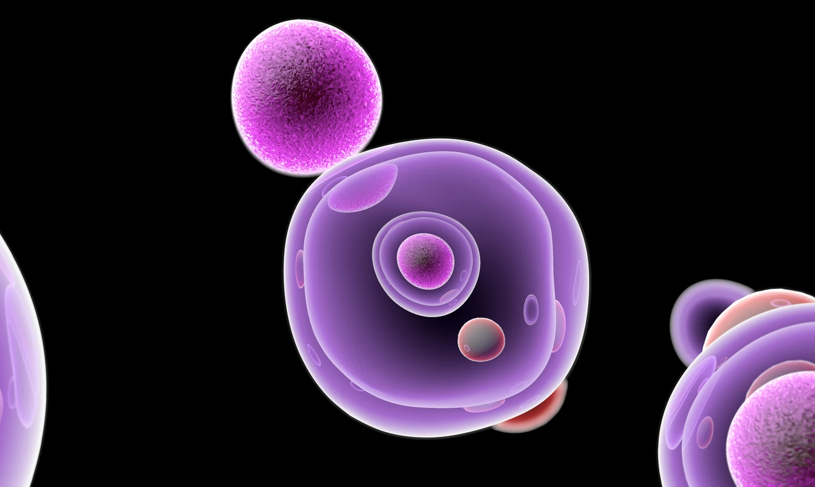 Stem cell technology could help rewind aging on human cells