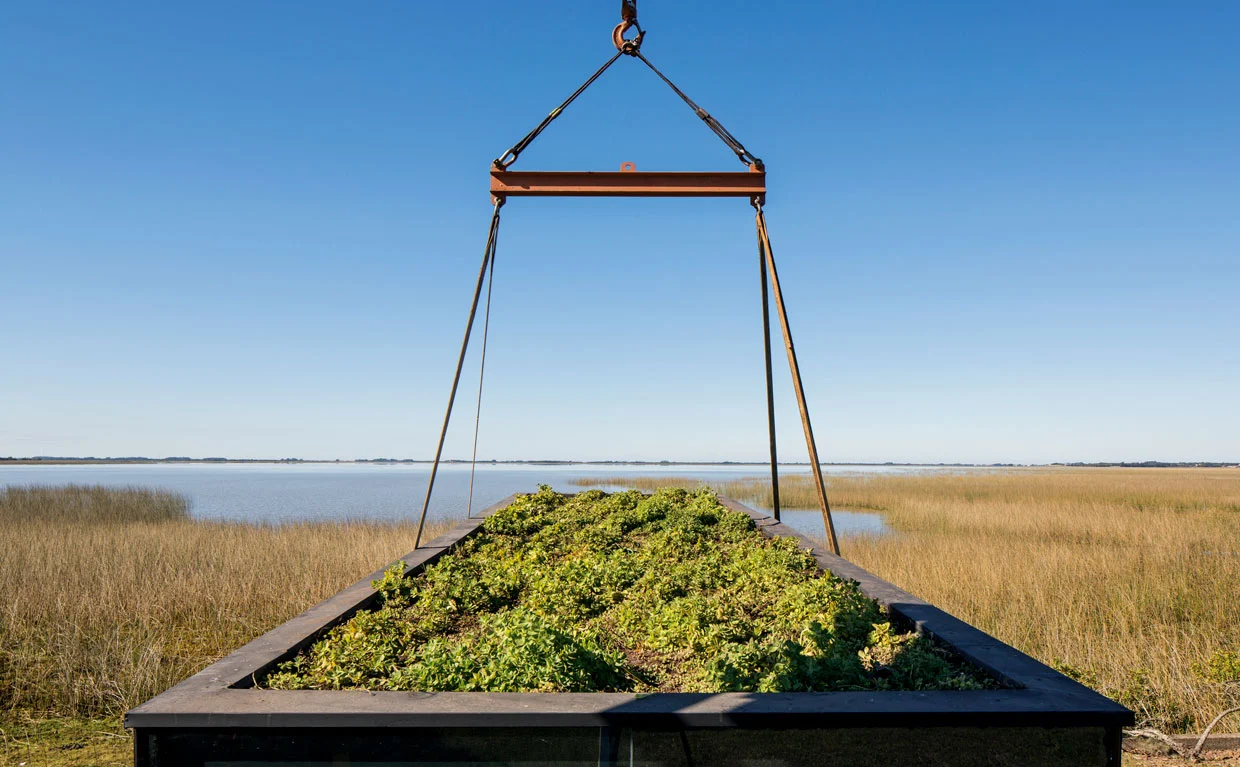 There's also a generous green roof (Photo: Leonardo Finotti)
