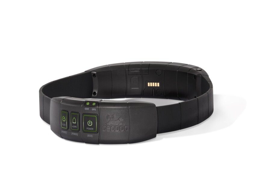 GEODOG collar