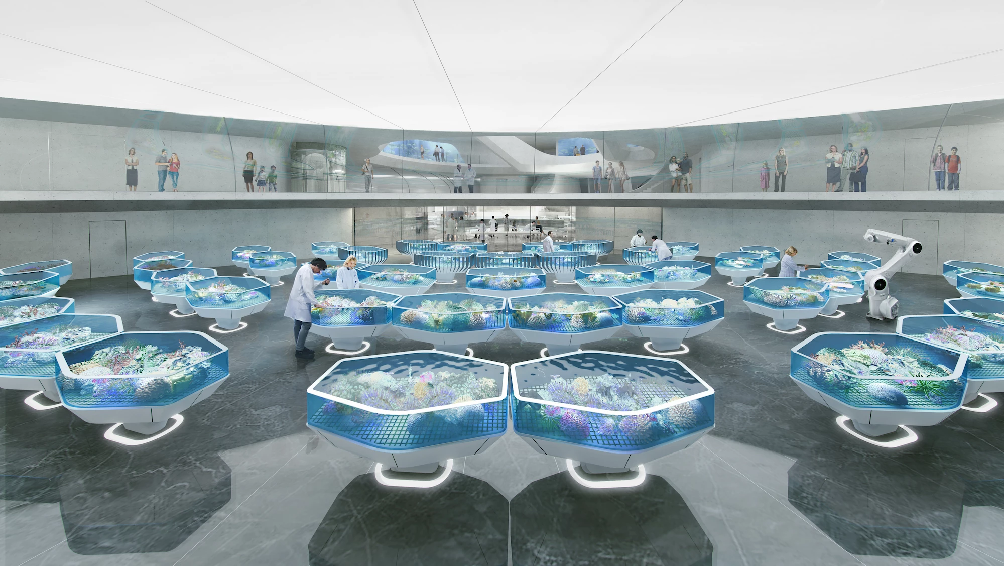 The Living Coral Biobank will aim to keep over 800 species of hard coral alive