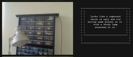 "Developing" the description of an image requires it to be sent through Amazon's Mechanical Turk API, which submits the task to human workers on the internet