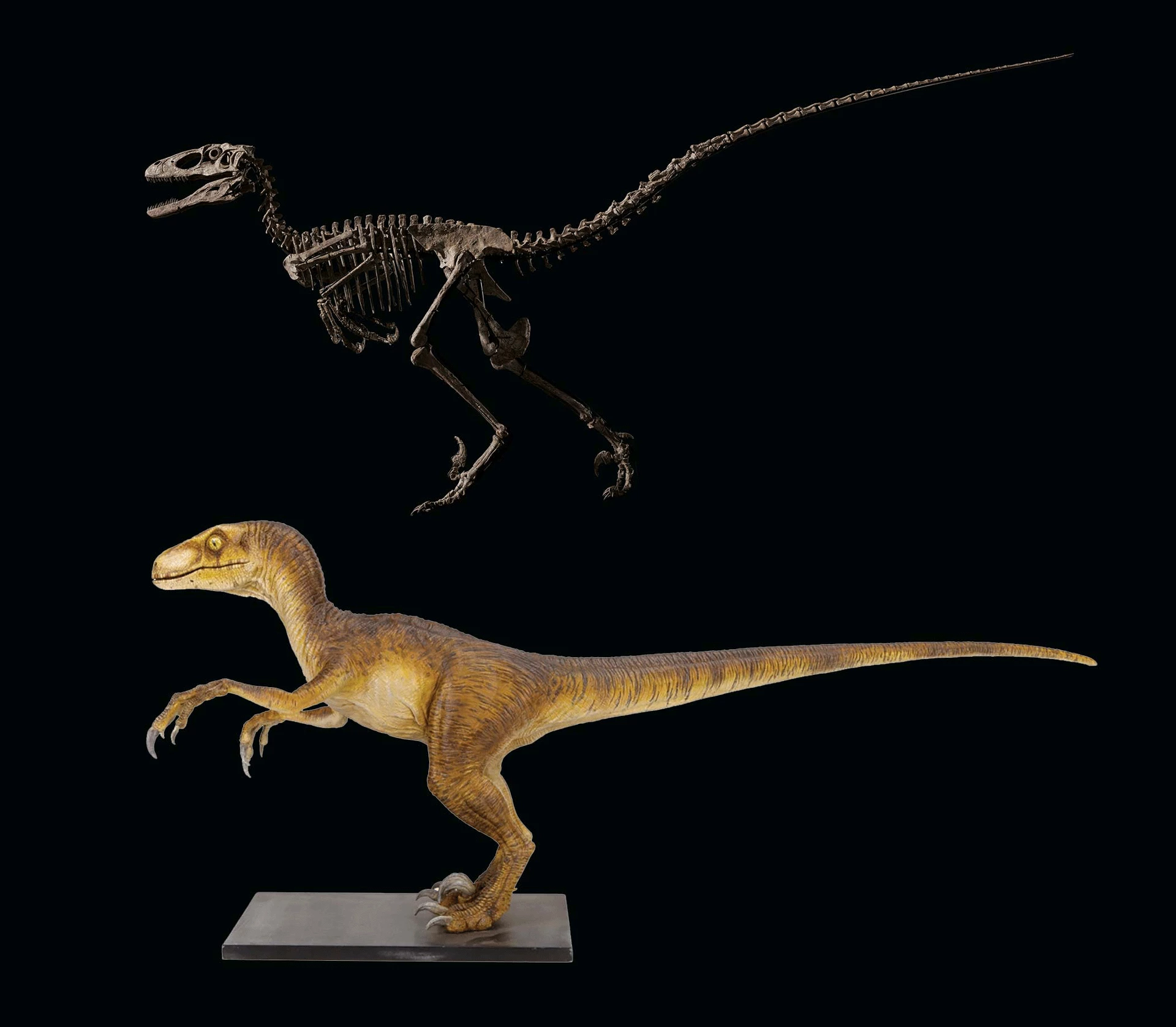 XXXXX XXXXXX XXXXXXX XXXXX XXXXXX XXXXXXX XXXXX XXXXXX XXXXXXX XXXXX XXXXXX XXXXXXX XXXXX XXXXXX XXXXXXX XXXXX XXXXXX XXXXXXX XXXXX XXXXXX XXXXXXX XXXXX XXXXXX XXXXXXX XXXXX XXXXXX XXXXXXX XXXXX XXXXXX XXXXXXX