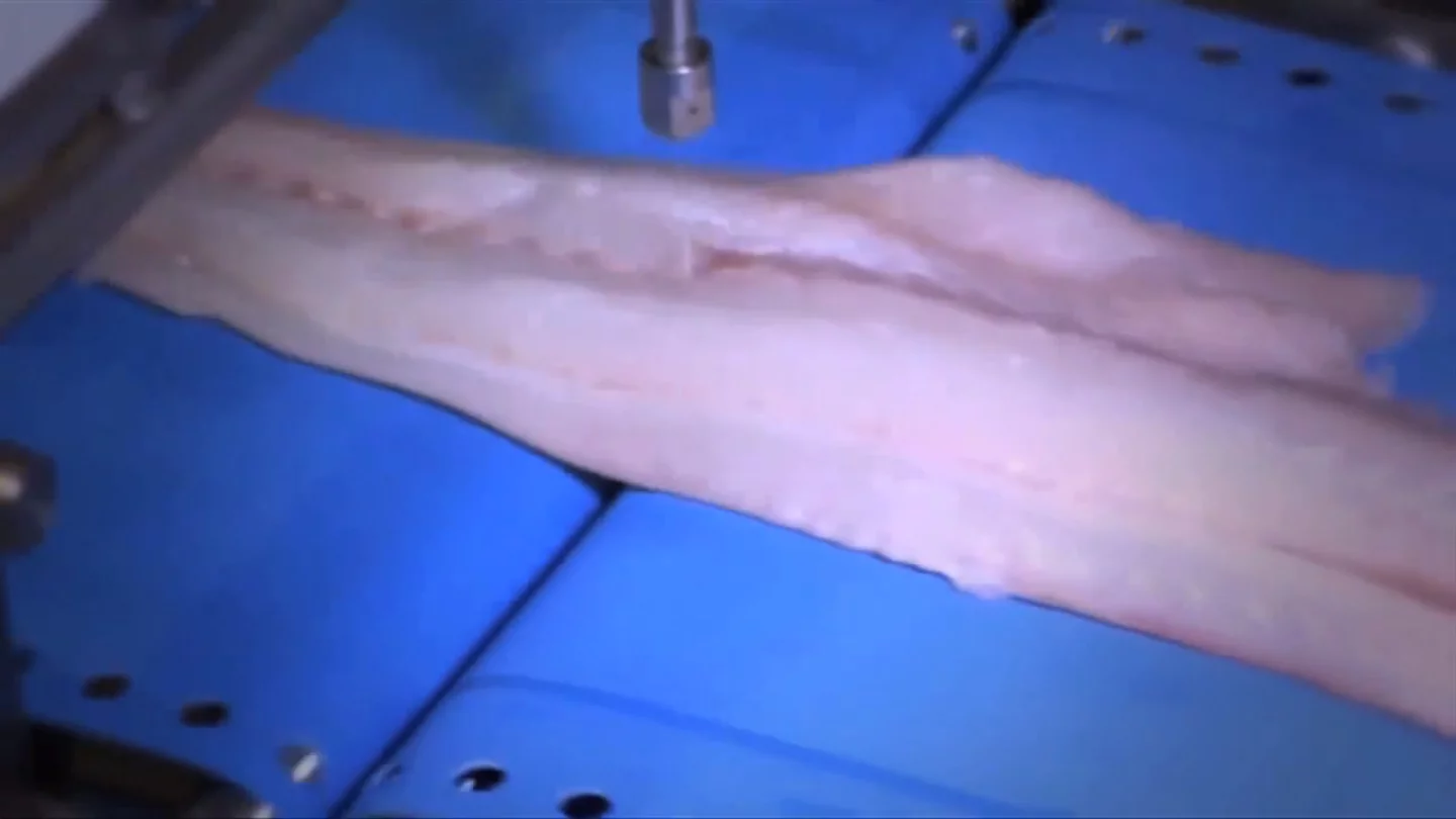 The machine uses x-ray technology to locate the pin-bones in the fish and then quickly and precisely trims them away using water-jets