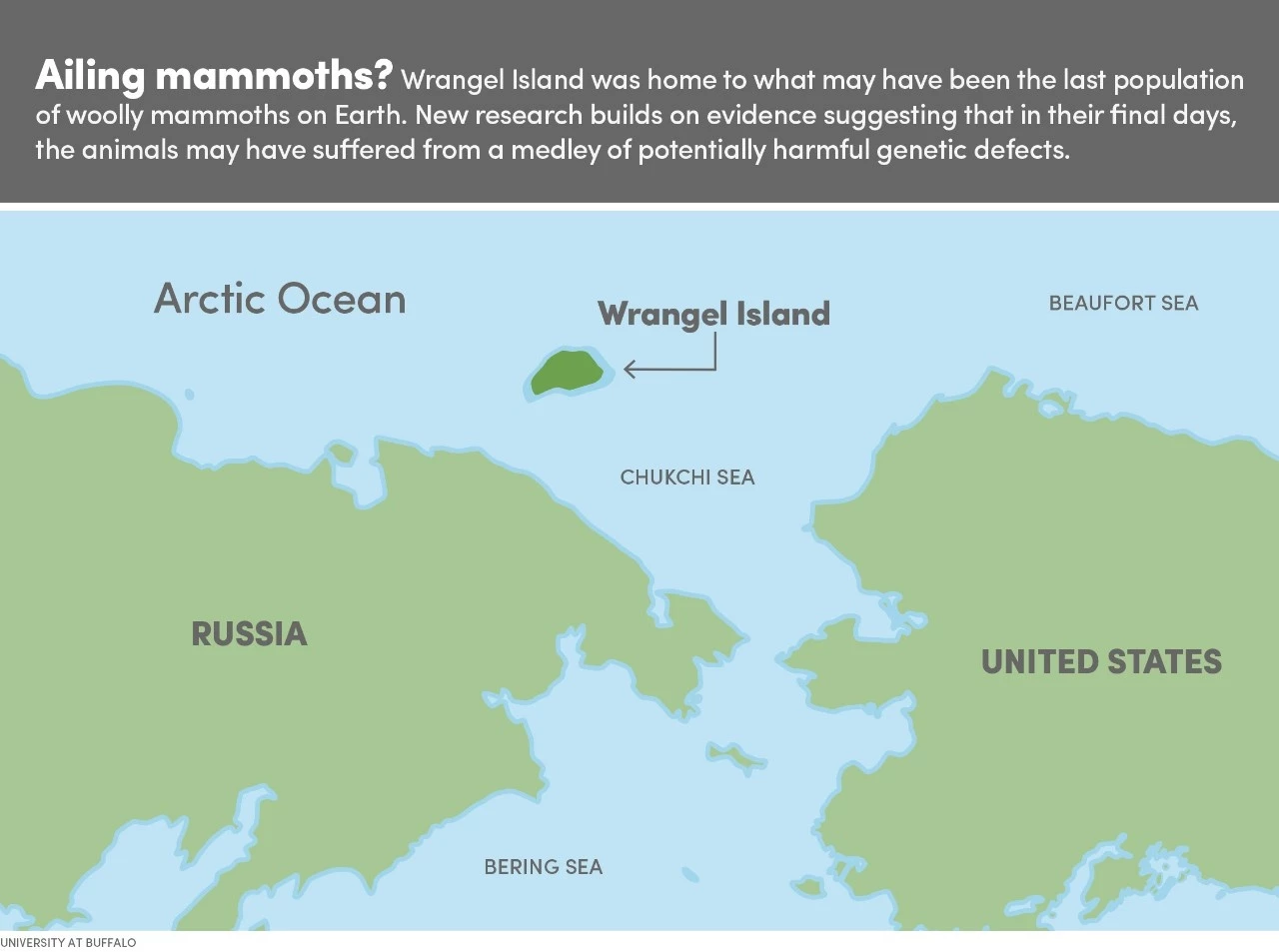 A map showing the location of Wrangel Island – the location of the latest-surviving mammoth population