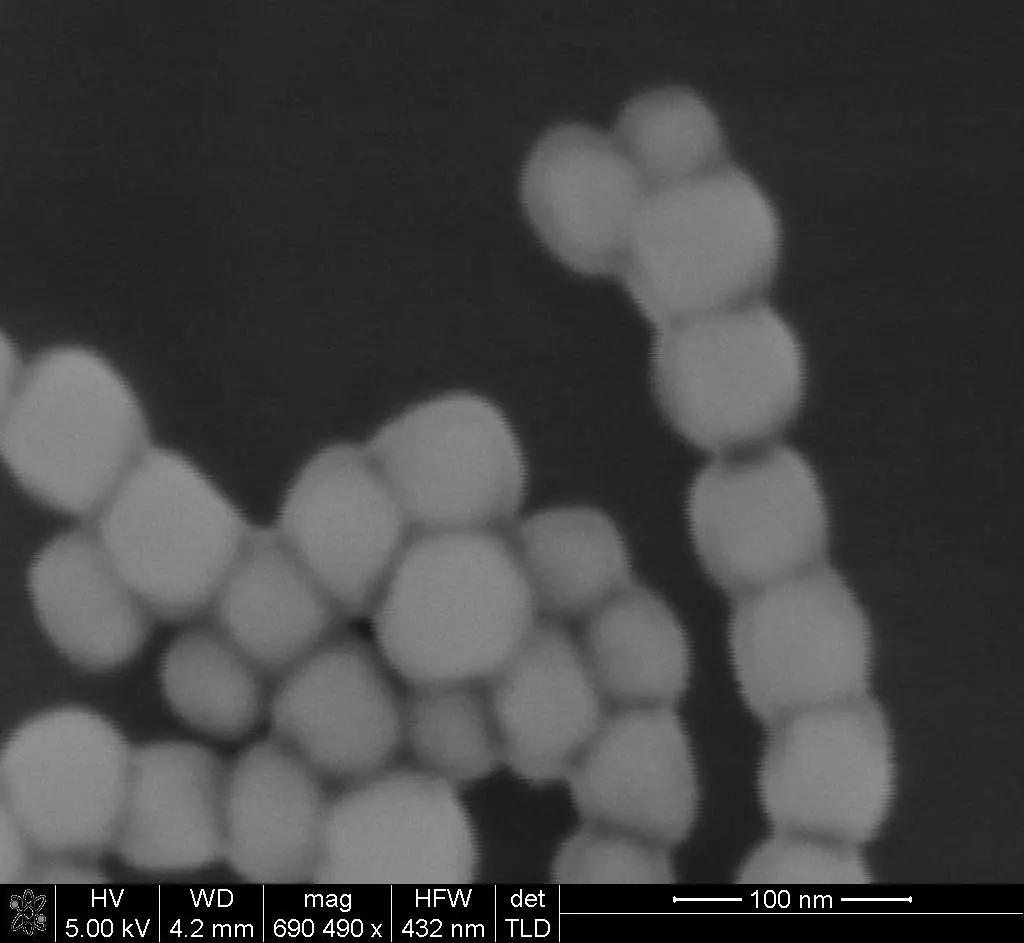 Image of bio-produced magnetic particles supplied by a Lockheed Martin and Army Research Labs (ARL) partner