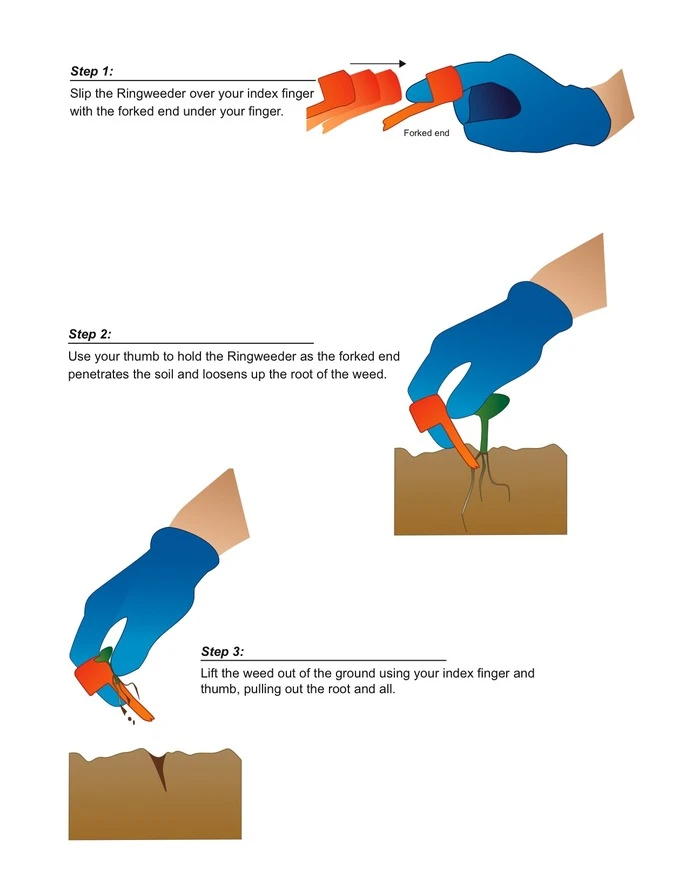 A demonstration of how to use the Ring Weeder