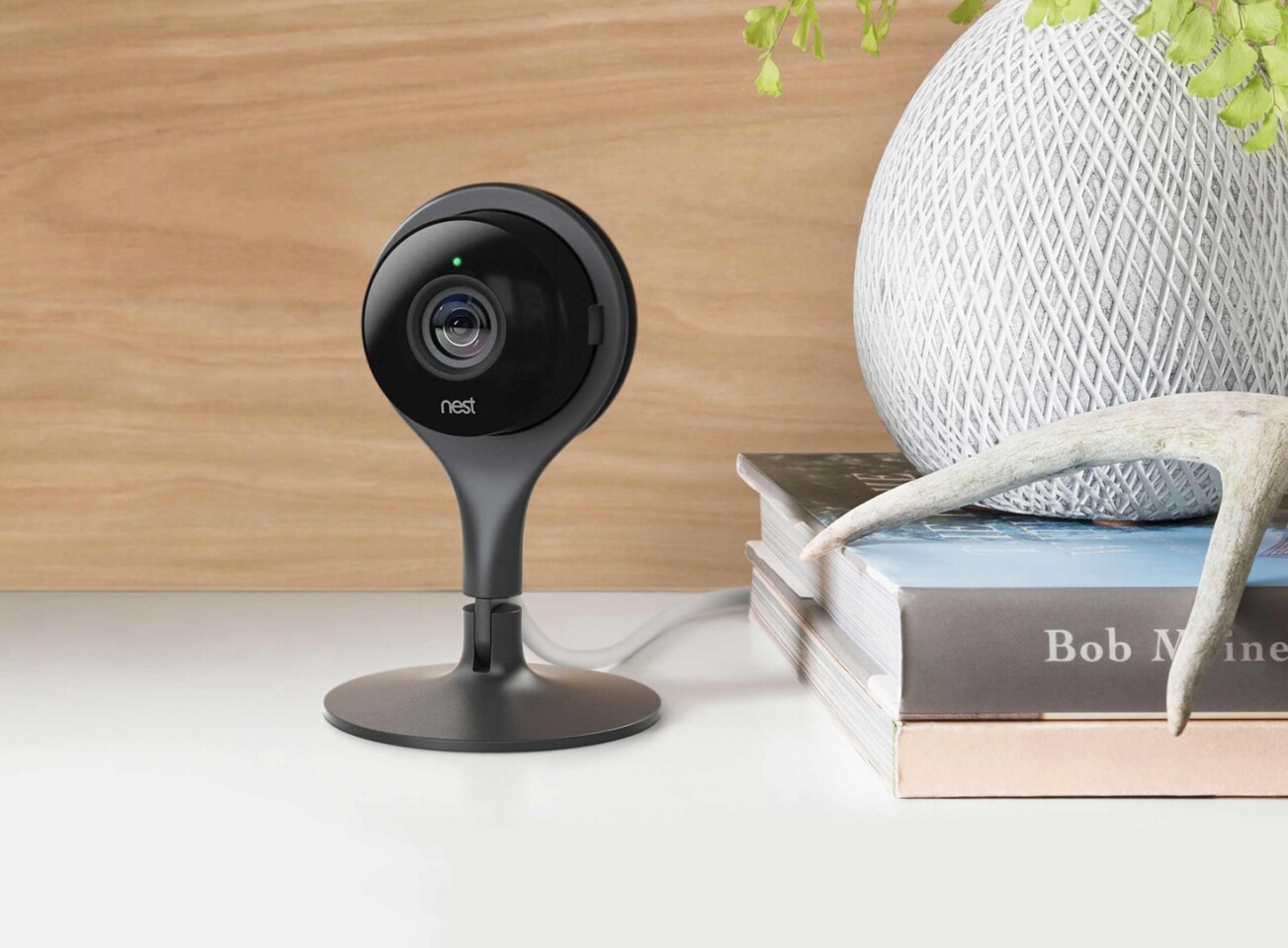 The all-seeing Nest Cam
