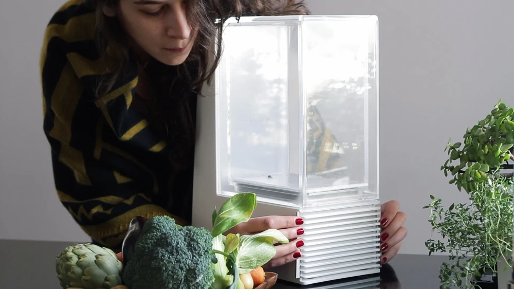 Mellow is a kitchen gadget designed to sit on a countertop and cook your food exactly how you want it