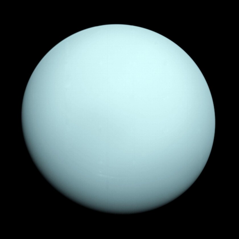 True color image of Uranus captured by Voyager 2 in 1986. Voyager 2 remains the only spacecraft to date to visit the gas giant