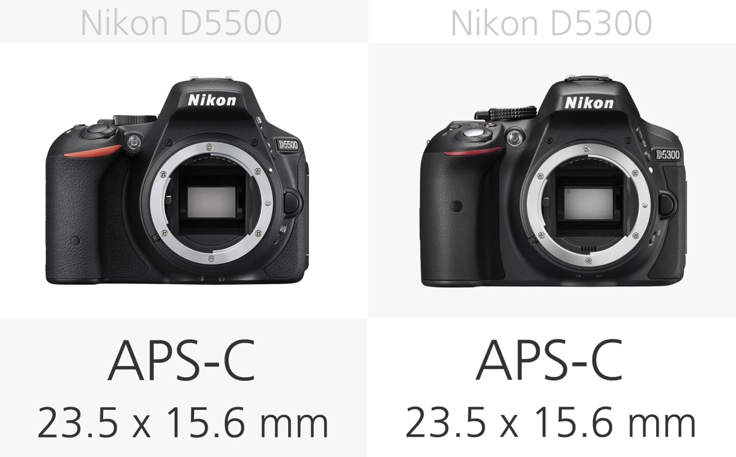 Nikon D5500 vs. Nikon D5300 sensor size comparison