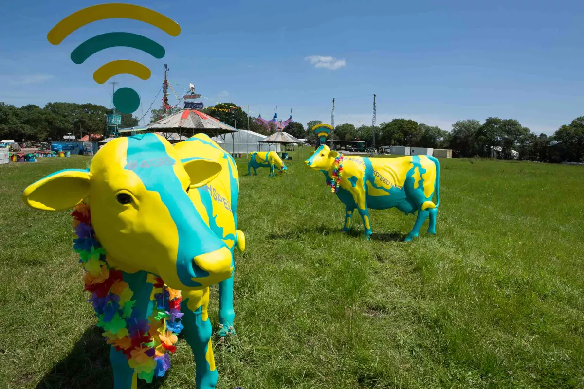 The glass-fibre cows at the Glastonbury Festival act as WiFi hotspots