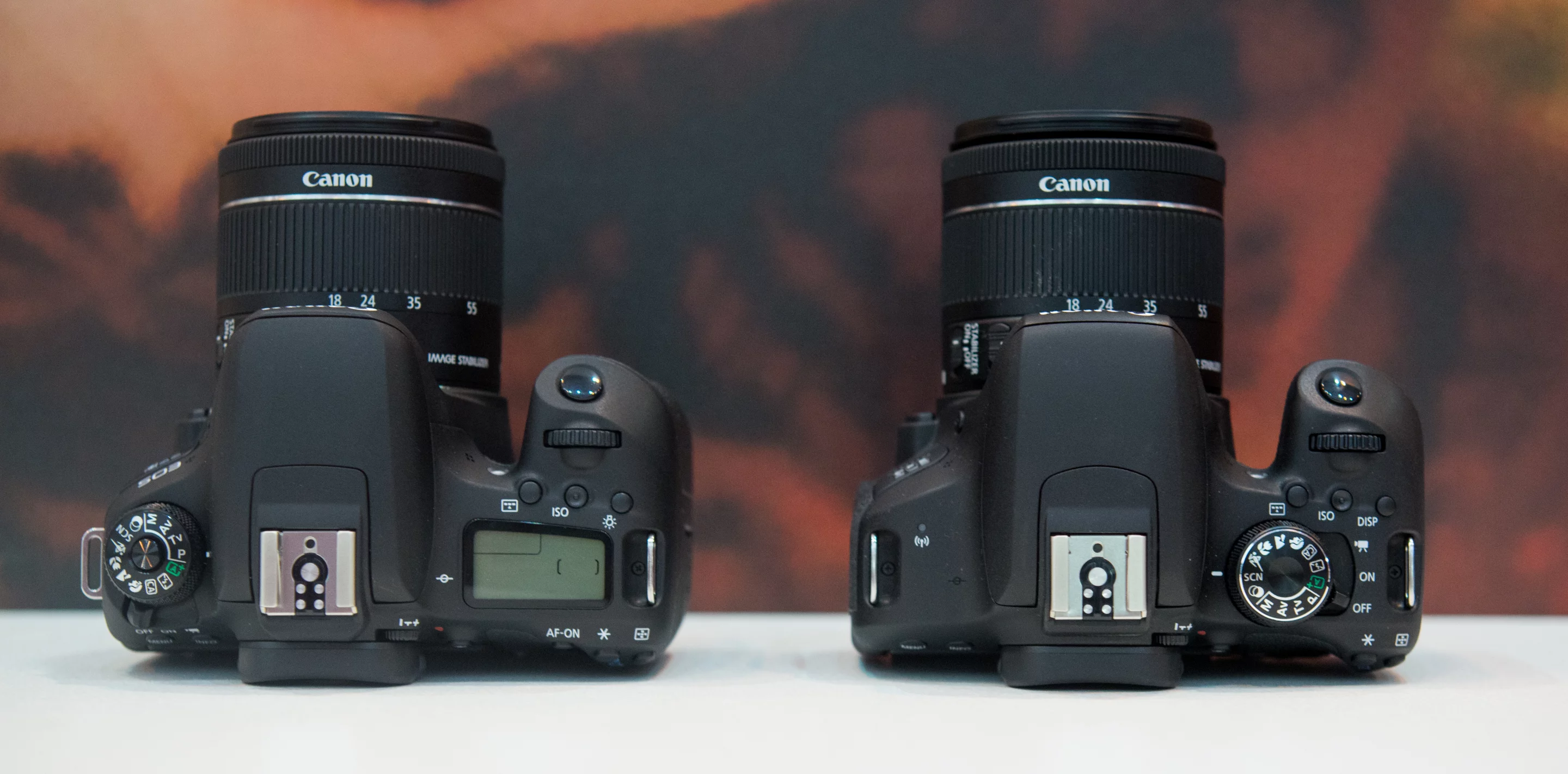 We compared the Canon 800D and 77D at The Photography Show 2017