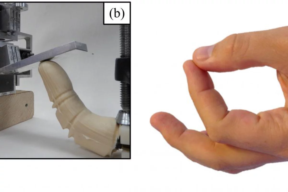 The team says the robotic finger could help to overcome some of the challenges encountered by researchers working in the ocean depths