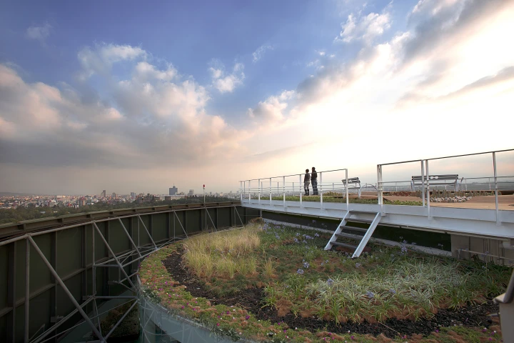 The new roof, re-named "Foro Ciel," is now home to some species of cacti and a few small orchards (Credit: Jaime Navarro; Courtesy Rojkind Arquitectos)