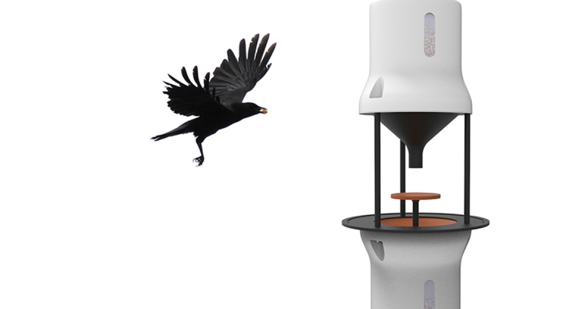 The Crows Nest…. 🪹 Can Anyone Remember This Being The Crows Nest ?? 🐦‍⬛🪹 #aberdeen Australia